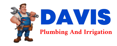 Trusted plumber in PIMENTO